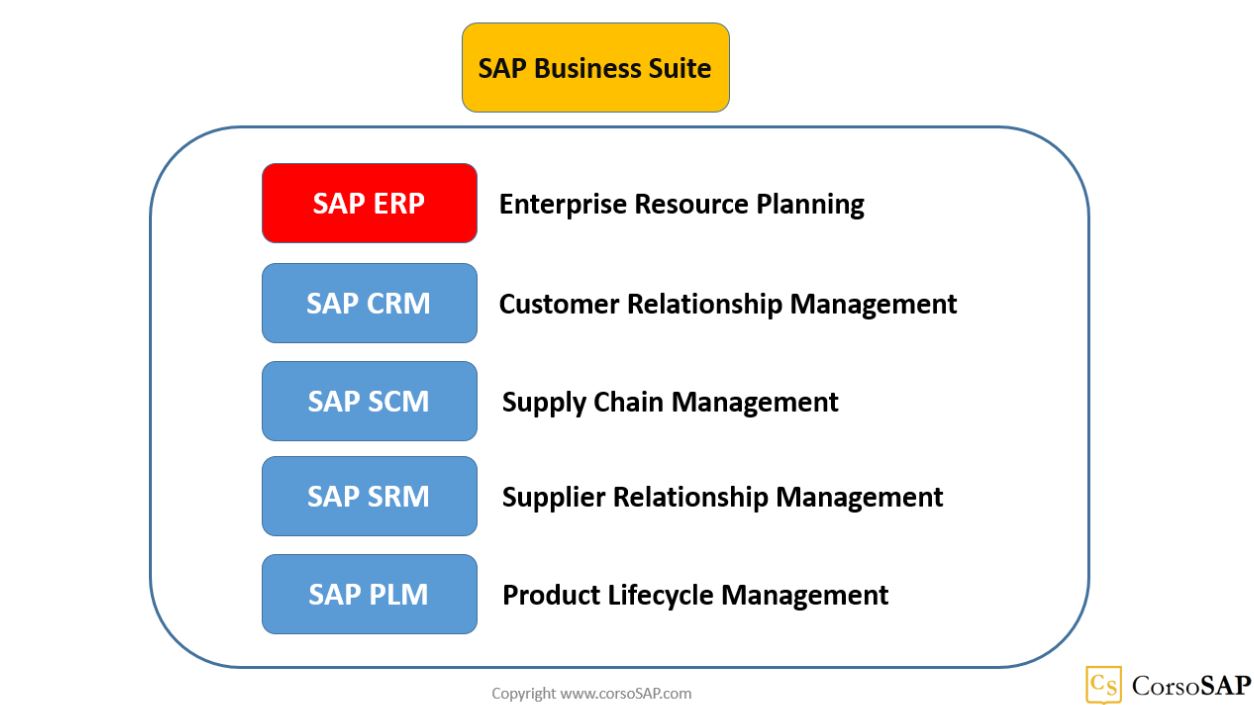 I programmi indipendenti che costituiscono la SAP Business Suite